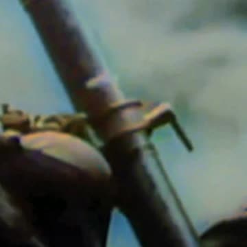 June 20, 1942. A day marked by the energy of 6, a symbol of balance