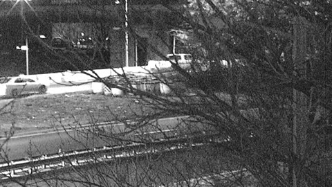 4405LOTS00Lot8-9East_2021-01-05_05h45min22s387ms.mp4