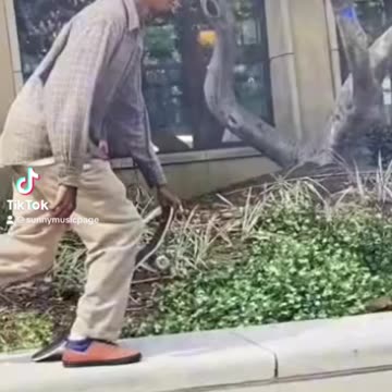 Skateboarding video ￼🛹