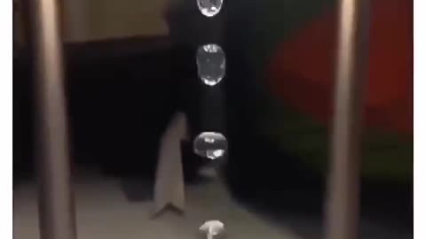 Anti Gravity Fountain Lamp