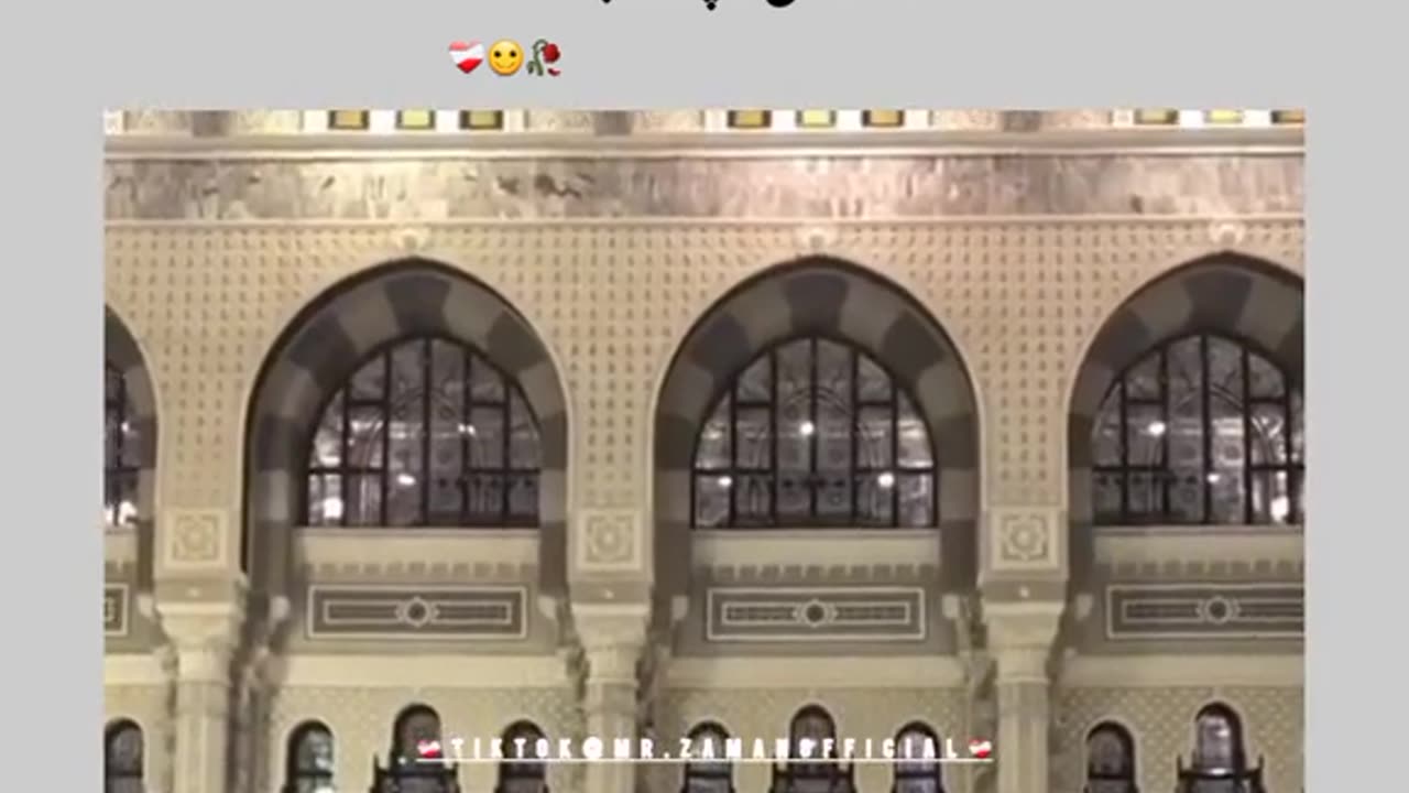 Raman video