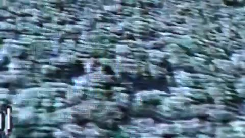 extraños pulsos de luz desclasificados investigacion personal