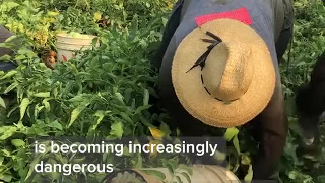 that he should be doing the giant