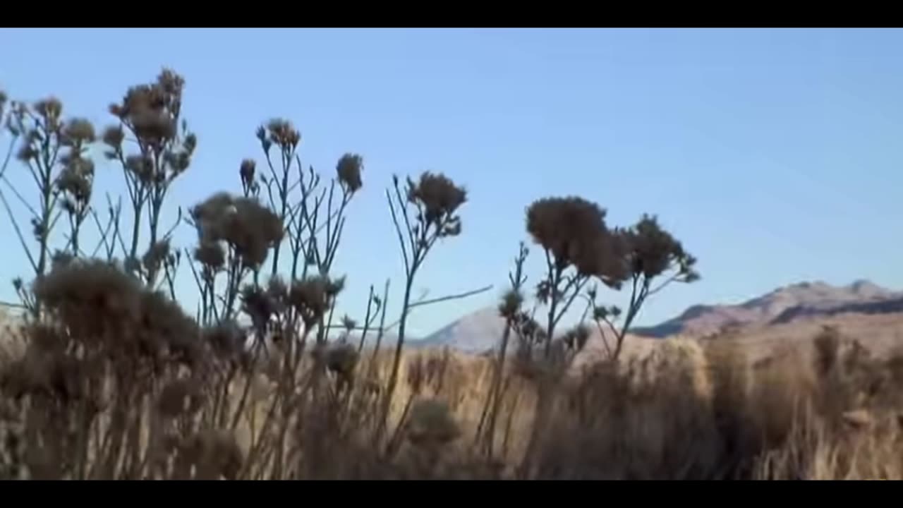 An Over View of Roswell