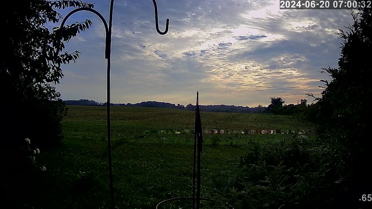 2024 06 20 weather cam: georgetown