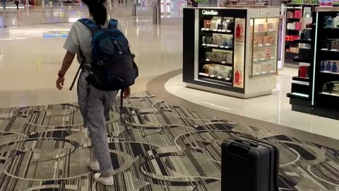 Robot Suitcases Taking Over The World