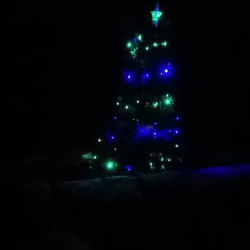 3.12.2024 Christmas in Kuranda (3)