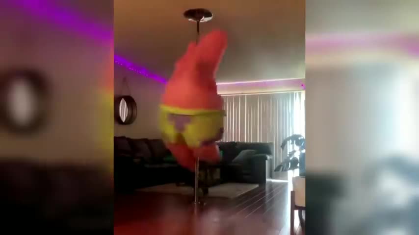 Funny tiktoks