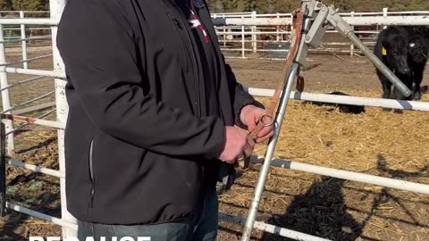 Humor: City Slicker vs Farmer