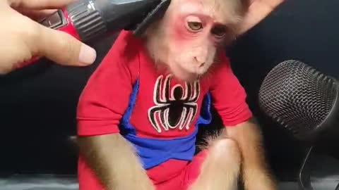 Cute Baby Monkey Hair Trimmer