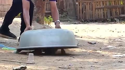 Funny Dog prank