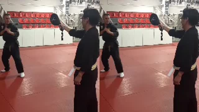 Jump Spinning Heel Kick