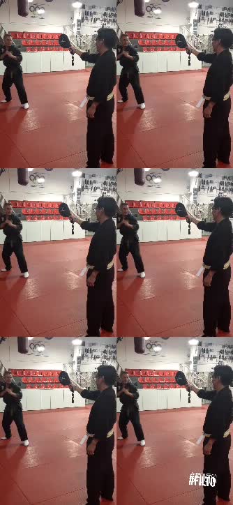 Jump Spinning Heel Kick