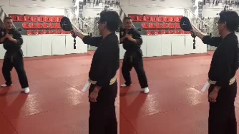 Jump Spinning Heel Kick