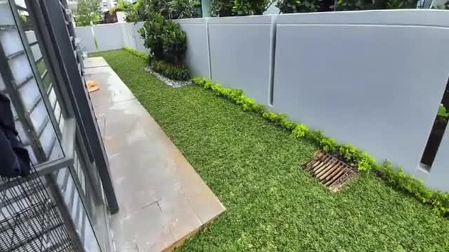 Real Grass Installation for home garden