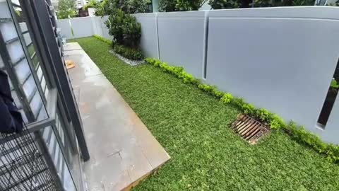 Real Grass Installation for home garden