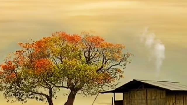 Because of deep love, so speechless; because of understanding, so tolerance