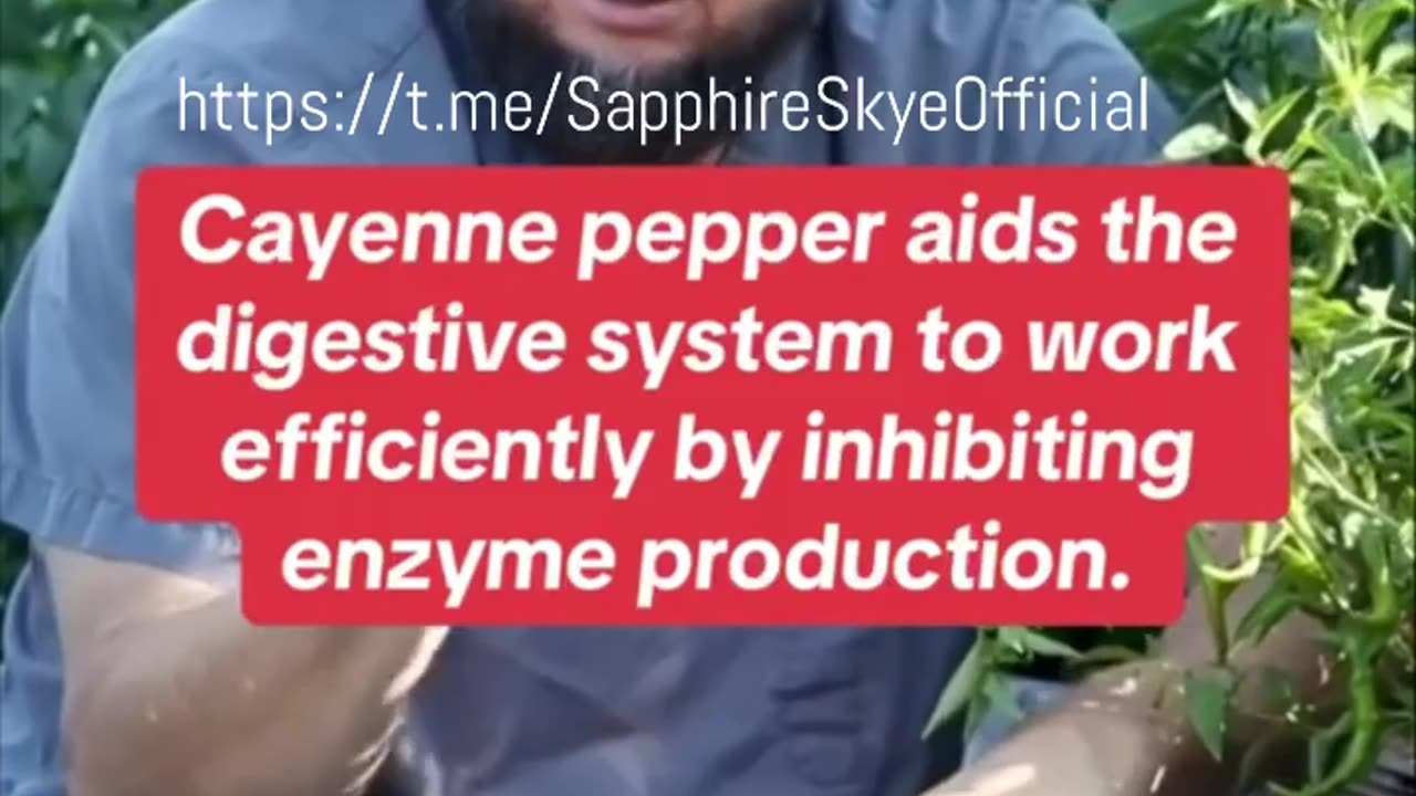 Cayenne Pepper; being well naturally is the new norm