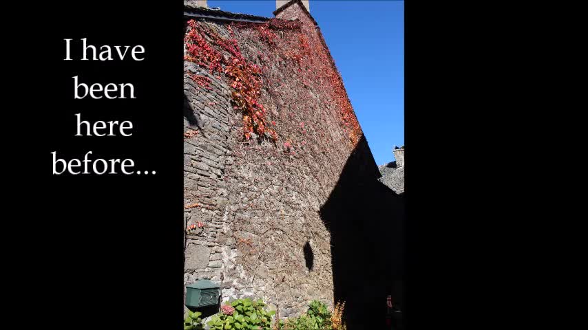 Thulean Perspective - Autumn Leaves in Auvergne