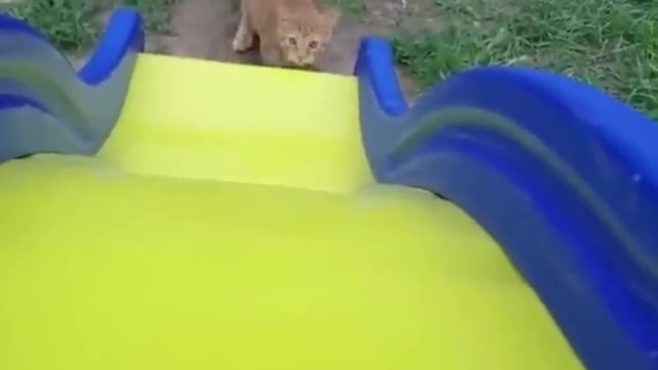 Just fun