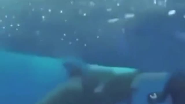 Omg omg imagine having this experience 🥰☺️