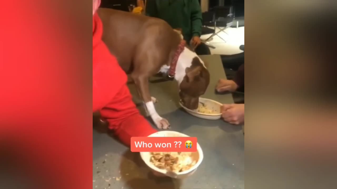SteveWillDoIt VS Dawg Eating Contest