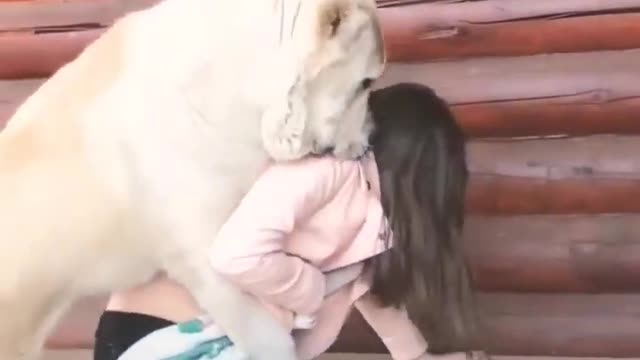 This Big Dog Loves Cute Girl So much