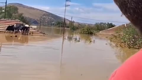 Θεσσαλία ώρα μηδέν!