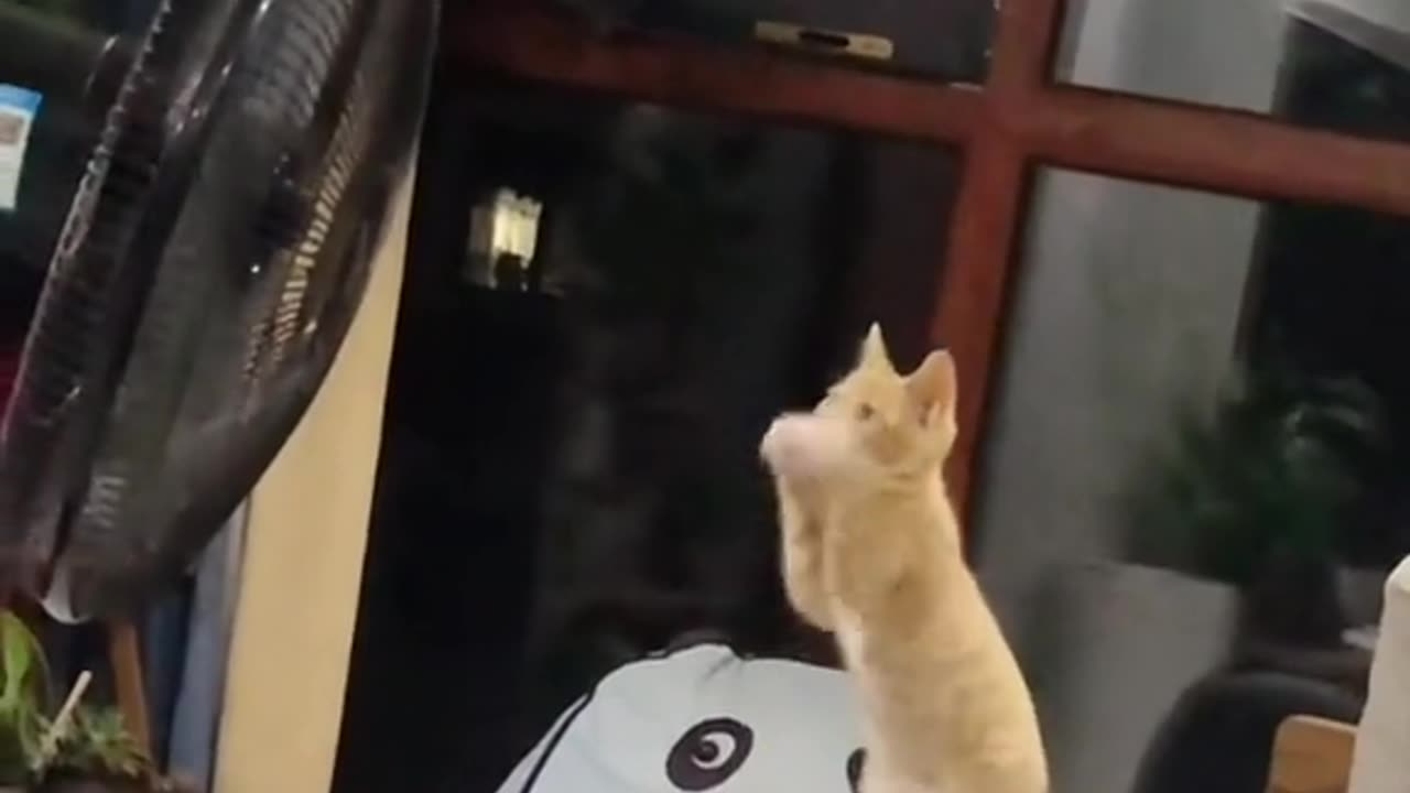 How much does it amazing 😍 the sky tonight and then I can send