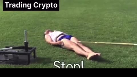 Forex Memes