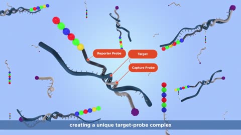 nCounter Technology by NanoString: Direct Detection for Gene and Protein Expression Profiling