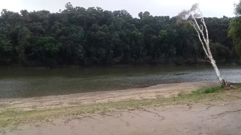 7.7.2024 The Barron River, Kuranda (3)