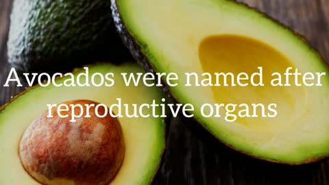 Did You Know? Avocados were named after reproductive organs || FACTS || TRIVIA