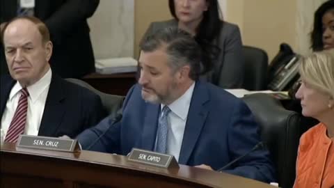 Sen. Ted Cruz: Democrats Have Made The Decision That Voter Fraud Is In Their Interest.