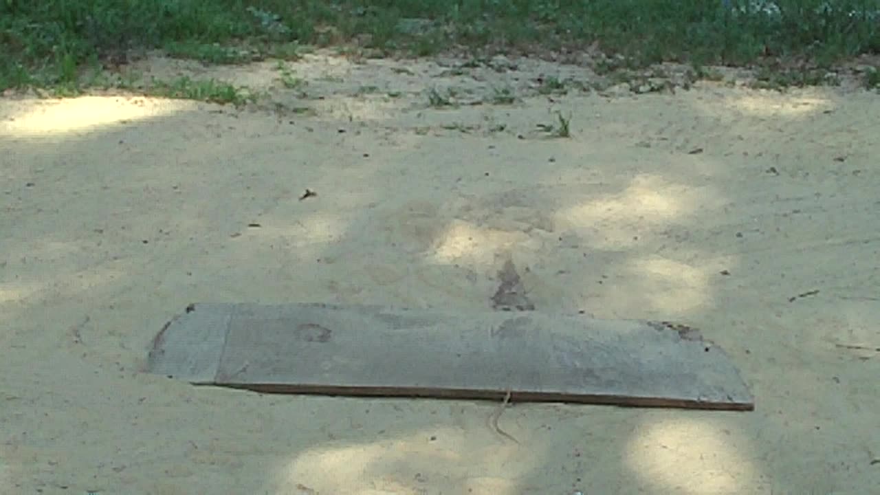 Tiger Claw Push Up (Five Finger Push Up Using The Pad, Dorsal Surface, Of The Fingers)