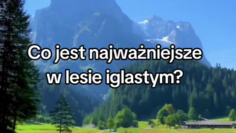 Niezbędnik