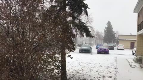 Sunday Snow Back Canada | Alberta | Calgary