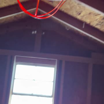 The chickens have a new setup