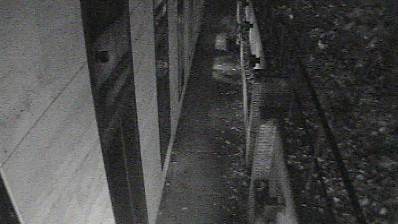 1457HSOB01GroundSoutheast_2021-01-06_02h42min49s823ms.mp4