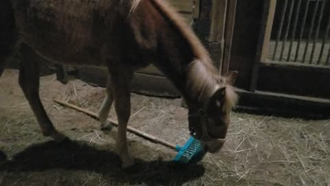 Using the fork