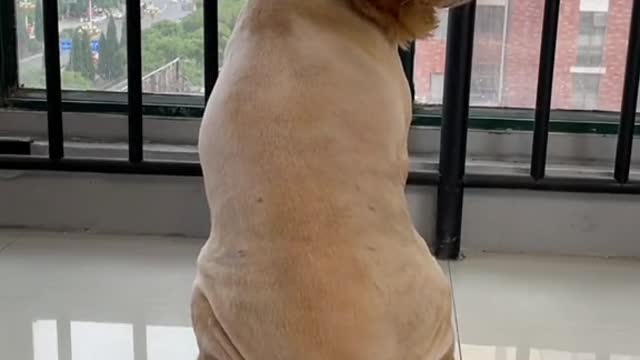 Make it look funny