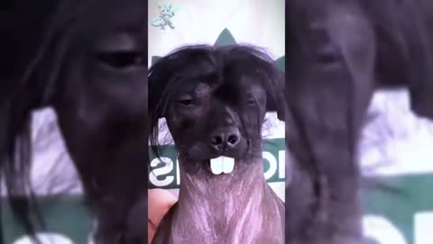 Before & After Animal growing up🤐💀.Animal Transformation Amazing 🤯🤯