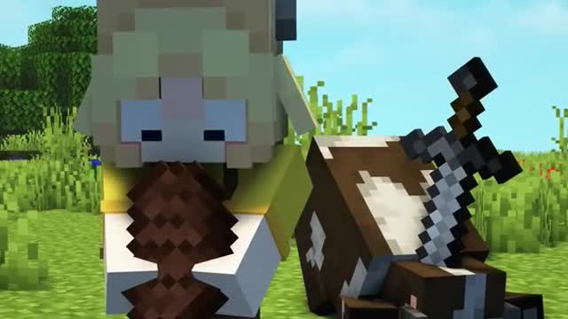 Minecraft compilation