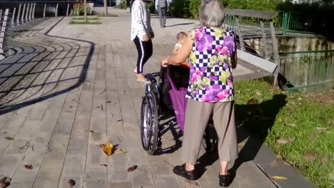 Grandma walk and push wheelchair