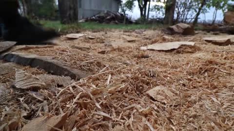 AMAZING CHAINSAW wood carving, Native American with wolves