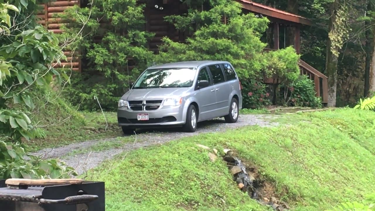 Bear Open and Closes Van Door By Itself