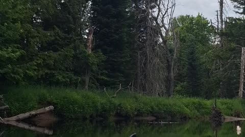 Kayaking West Branch Sacandaga