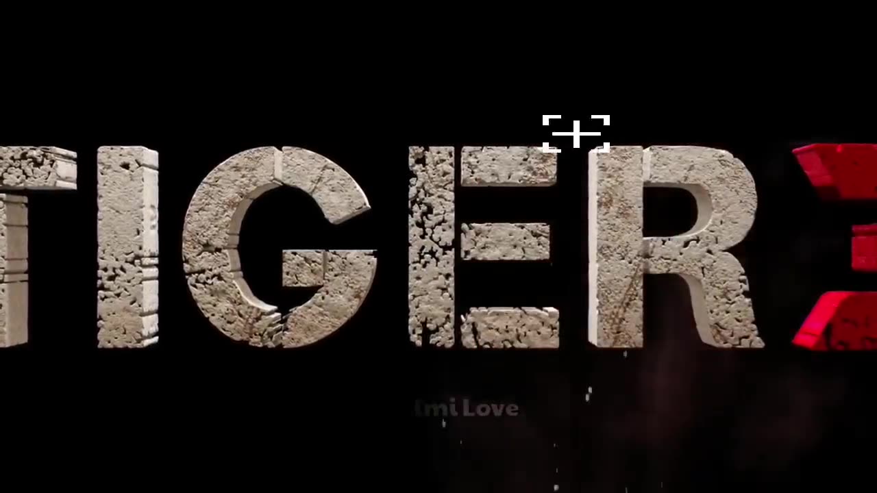 Ajav devgan reaction on tiger 3 trailer