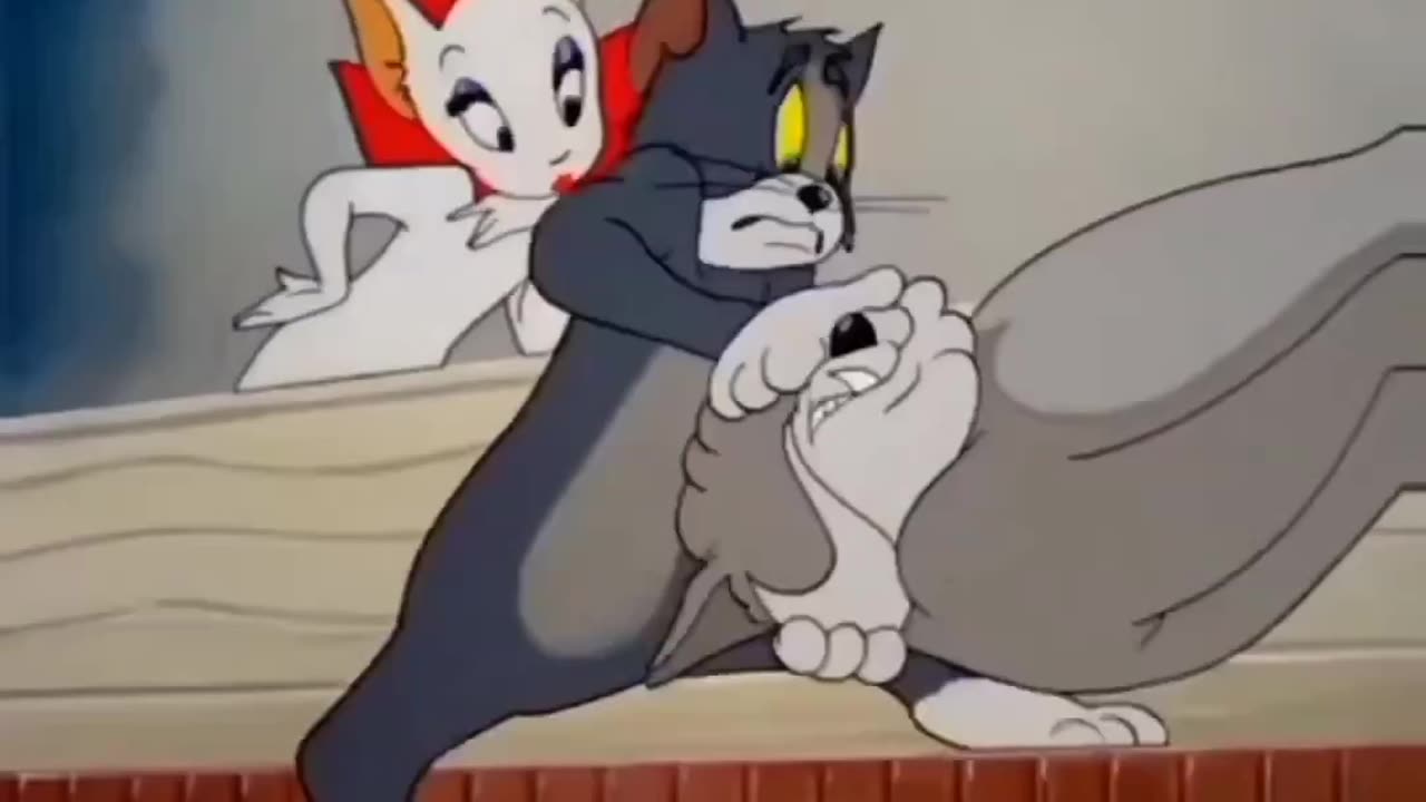 Tom and Jerry panga mat karna 😂😂😂😜