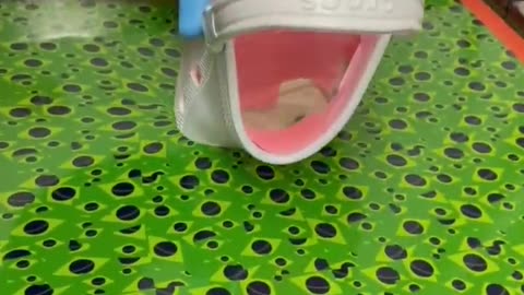 Hydro Dipping crocs 😎😎 #satisfying